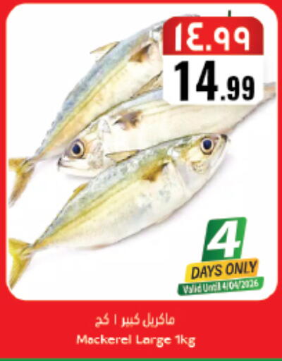 available at City Flower in KSA, Saudi Arabia, Saudi - Riyadh