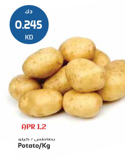 Potato available at جراند هايبر in الكويت - مدينة الكويت