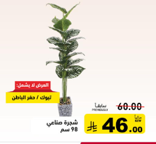 available at أسواق رامز in مملكة العربية السعودية, السعودية, سعودية - القطيف‎