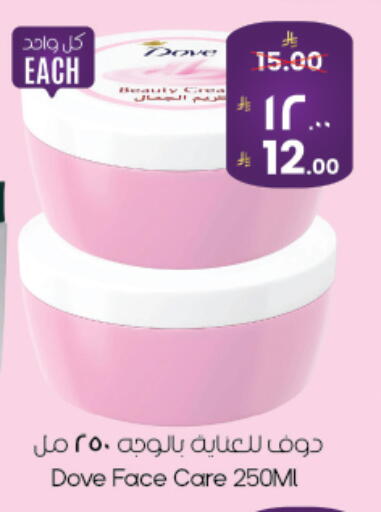 available at ستي فلاور in مملكة العربية السعودية, السعودية, سعودية - نجران