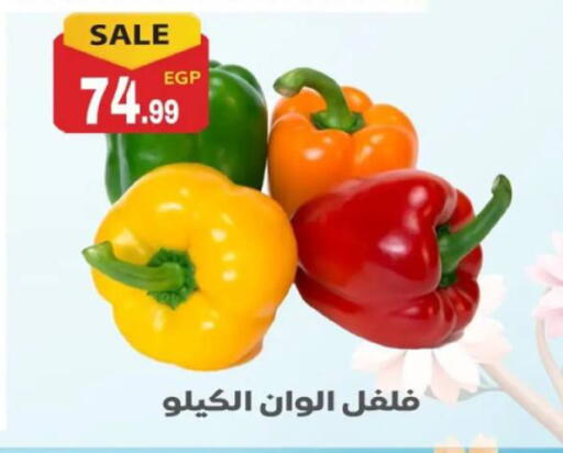 available at أولاد المحاوى in Egypt - القاهرة