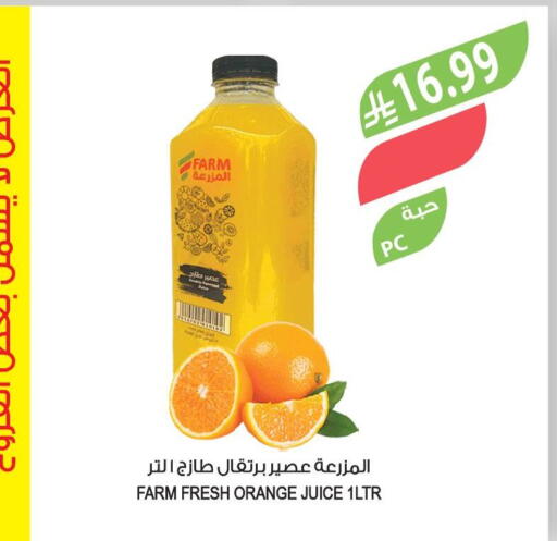 Orange available at Farm  in KSA, Saudi Arabia, Saudi - Tabuk