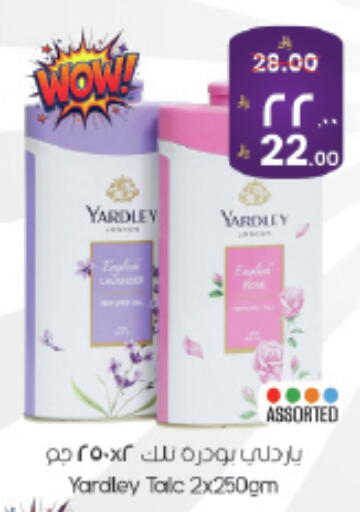 available at ستي فلاور in مملكة العربية السعودية, السعودية, سعودية - حائل‎