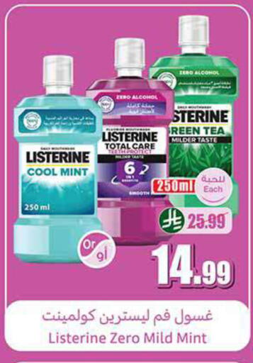 Mint available at Othaim Markets in KSA, Saudi Arabia, Saudi - Bishah