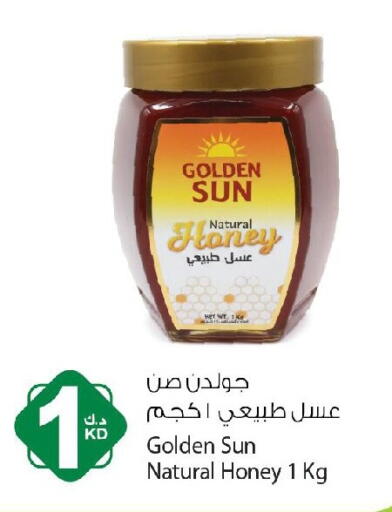available at Agricultural Food Products Co. in Kuwait - Jahra Governorate