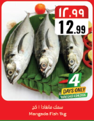 available at City Flower in KSA, Saudi Arabia, Saudi - Riyadh