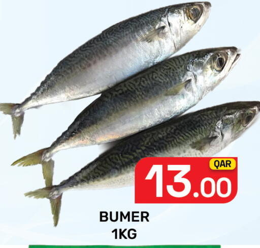 available at مجلس هايبرماركت in قطر - الريان