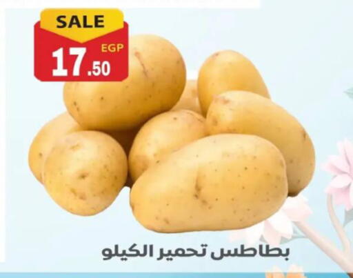 available at أولاد المحاوى in Egypt - القاهرة