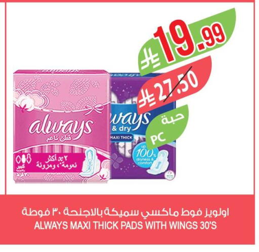 available at Farm  in KSA, Saudi Arabia, Saudi - Yanbu