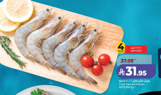 available at لولو هايبرماركت in مملكة العربية السعودية, السعودية, سعودية - حائل‎