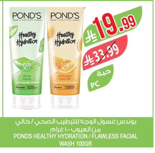 Orange available at Farm  in KSA, Saudi Arabia, Saudi - Qatif