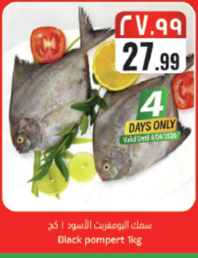 available at ستي فلاور in مملكة العربية السعودية, السعودية, سعودية - حائل‎