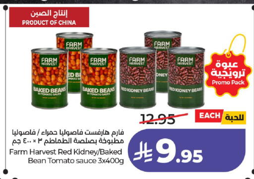Tomato available at LULU Hypermarket in KSA, Saudi Arabia, Saudi - Al-Kharj