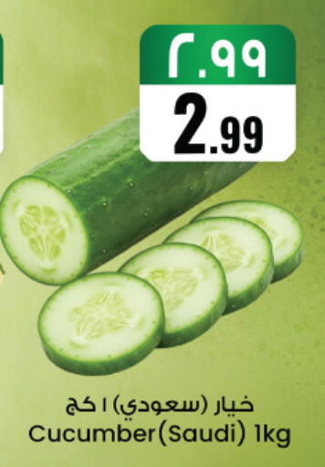 Cucumber from Saudi Arabia available at City Flower in KSA, Saudi Arabia, Saudi - Najran