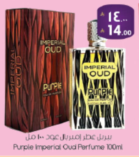 available at ستي فلاور in مملكة العربية السعودية, السعودية, سعودية - الجبيل‎