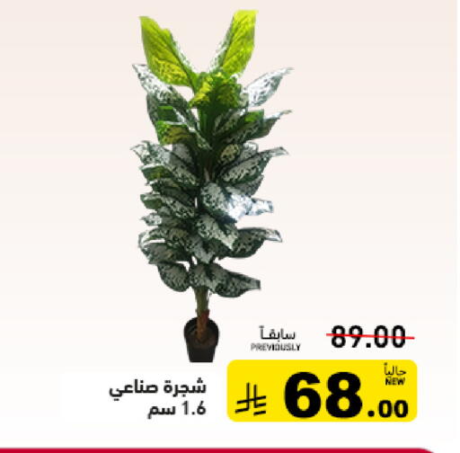available at أسواق رامز in مملكة العربية السعودية, السعودية, سعودية - القطيف‎