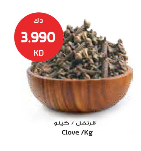 available at جراند كوستو in الكويت - مدينة الكويت