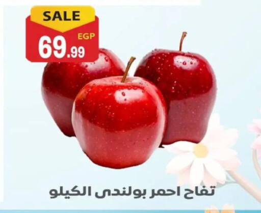 available at أولاد المحاوى in Egypt - القاهرة