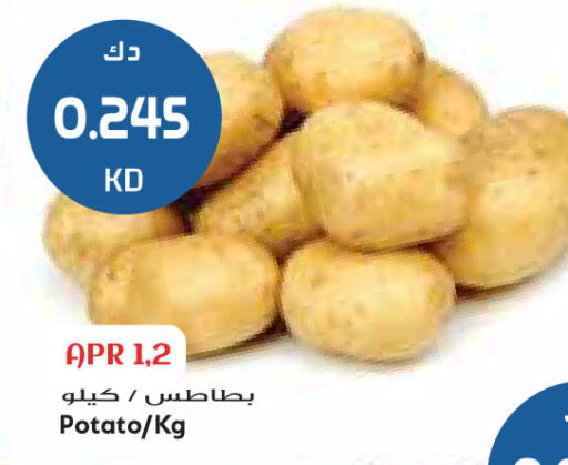 Potato available at جراند كوستو in الكويت - مدينة الكويت