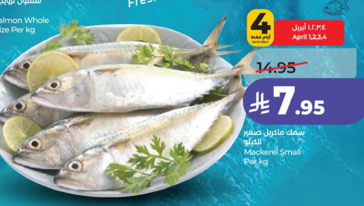 available at لولو هايبرماركت in مملكة العربية السعودية, السعودية, سعودية - الجبيل‎