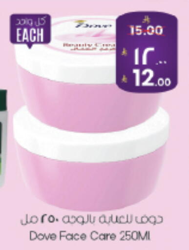 available at City Flower in KSA, Saudi Arabia, Saudi - Hail