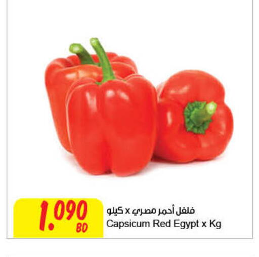 Capsicum from Egypt available at مركز سلطان in البحرين