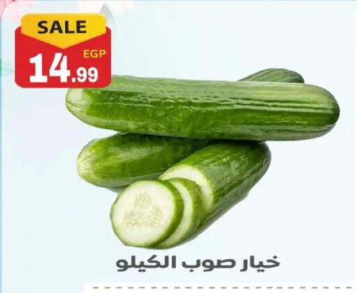 available at أولاد المحاوى in Egypt - القاهرة