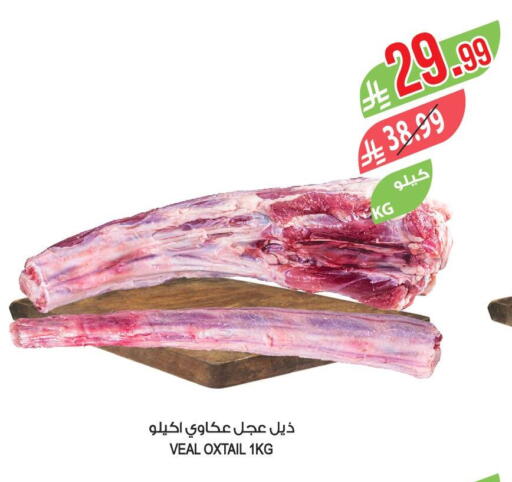 available at المزرعة in مملكة العربية السعودية, السعودية, سعودية - الرياض