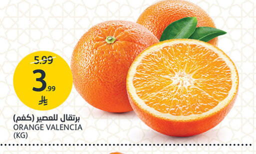 Orange available at مركز الجزيرة للتسوق in مملكة العربية السعودية, السعودية, سعودية - الرياض