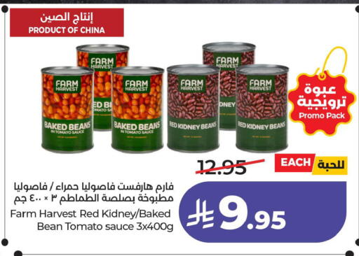 Tomato available at LULU Hypermarket in KSA, Saudi Arabia, Saudi - Al Khobar