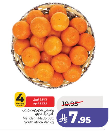 Mandarin from South Africa available at LULU Hypermarket in KSA, Saudi Arabia, Saudi - Unayzah