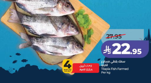 available at لولو هايبرماركت in مملكة العربية السعودية, السعودية, سعودية - الجبيل‎