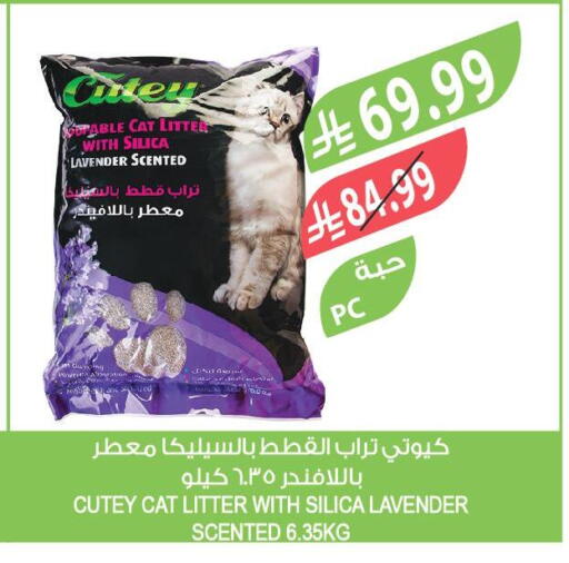 available at Farm  in KSA, Saudi Arabia, Saudi - Arar