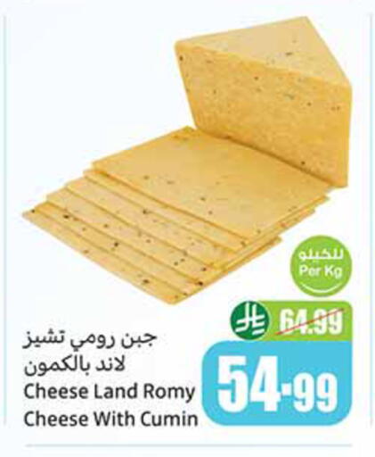 Cumin available at أسواق عبد الله العثيم in مملكة العربية السعودية, السعودية, سعودية - أبها