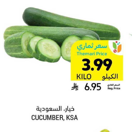 Cucumber available at Tamimi Market in KSA, Saudi Arabia, Saudi - Al Hasa