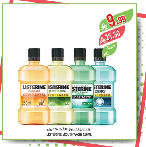 Mint available at المزرعة in مملكة العربية السعودية, السعودية, سعودية - ينبع