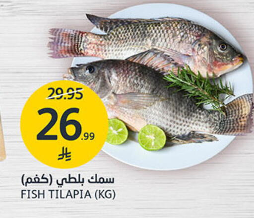 available at مركز الجزيرة للتسوق in مملكة العربية السعودية, السعودية, سعودية - الرياض