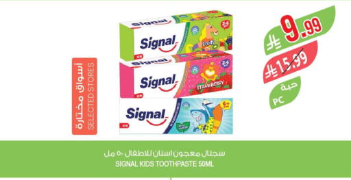 Strawberry available at Farm  in KSA, Saudi Arabia, Saudi - Najran