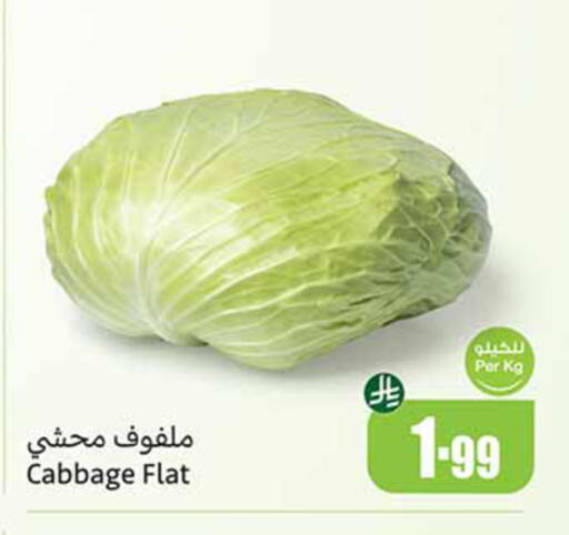 Cabbage available at Othaim Markets in KSA, Saudi Arabia, Saudi - Az Zulfi