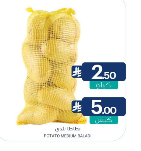 Potato available at Muntazah Markets in KSA, Saudi Arabia, Saudi - Saihat