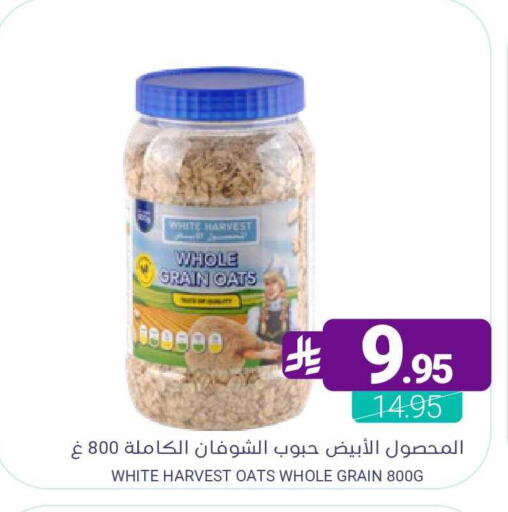 available at Muntazah Markets in KSA, Saudi Arabia, Saudi - Qatif