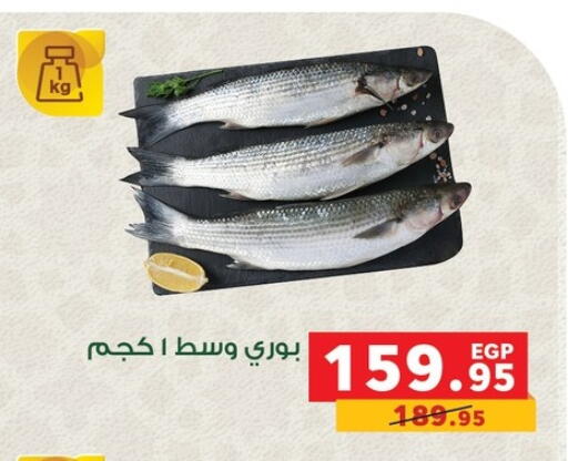 available at بنده in Egypt - القاهرة
