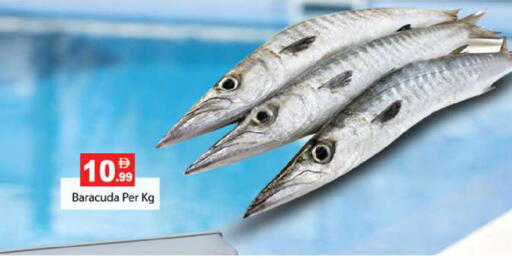 available at Gulf Hypermarket LLC in UAE - Ras al Khaimah