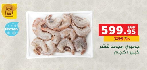 available at بنده in Egypt - القاهرة