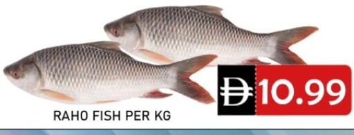 available at متجر الهدايا الخضراء in الإمارات العربية المتحدة , الامارات - أبو ظبي