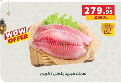 available at بنده in Egypt - القاهرة