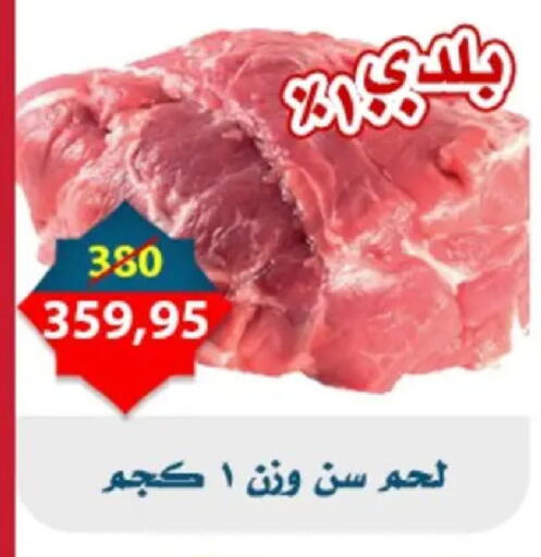 available at Aswaq Albader in Egypt - Cairo