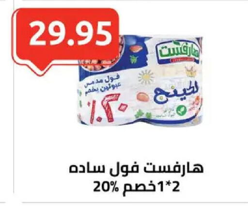 available at الهواري in Egypt - القاهرة