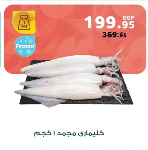 available at بنده in Egypt - القاهرة