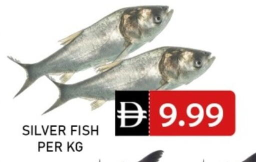 available at متجر الهدايا الخضراء in الإمارات العربية المتحدة , الامارات - أبو ظبي